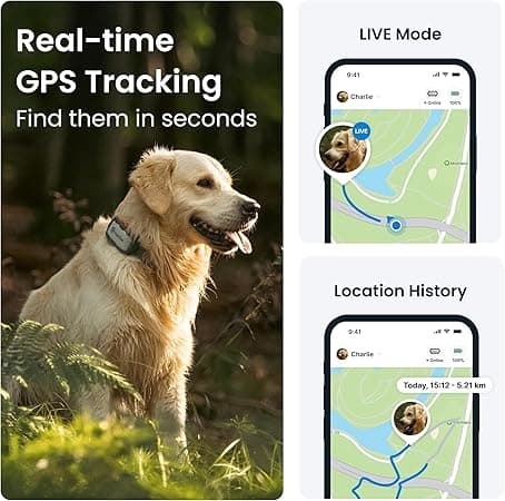 Tractive XL GPS Dog Tracker (50 lbs+)